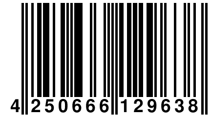 4 250666 129638