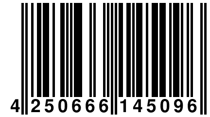 4 250666 145096