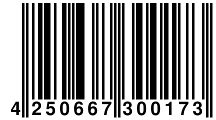 4 250667 300173