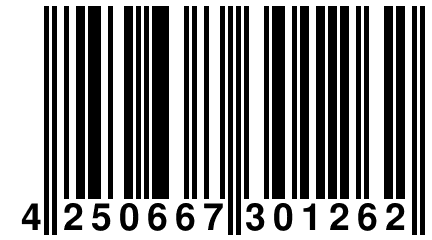 4 250667 301262