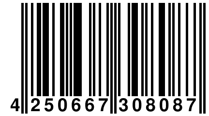 4 250667 308087