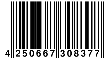 4 250667 308377