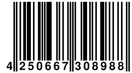 4 250667 308988