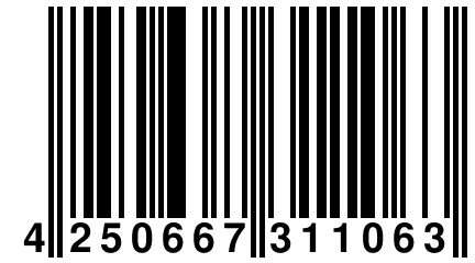4 250667 311063