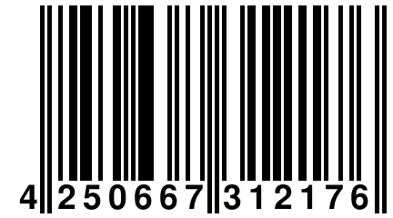 4 250667 312176