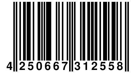 4 250667 312558