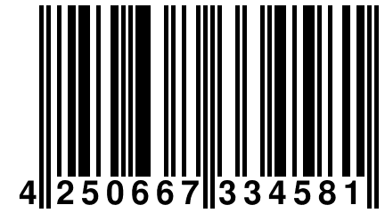 4 250667 334581