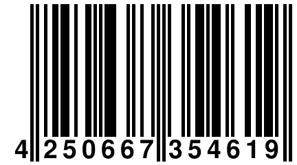 4 250667 354619