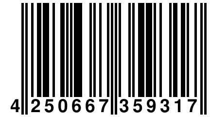 4 250667 359317