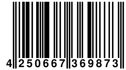 4 250667 369873