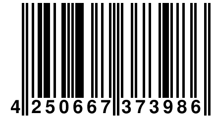 4 250667 373986