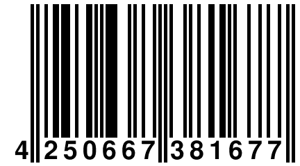4 250667 381677