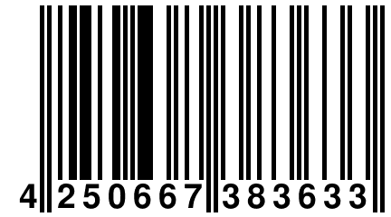 4 250667 383633