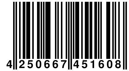 4 250667 451608