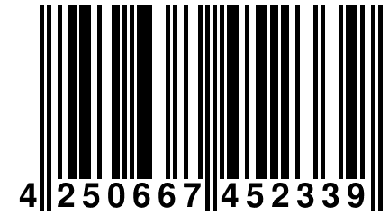4 250667 452339