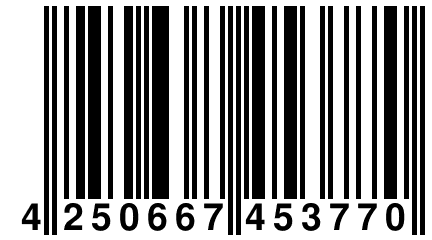 4 250667 453770
