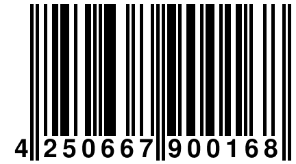 4 250667 900168