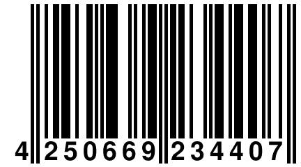 4 250669 234407