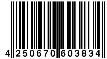 4 250670 603834