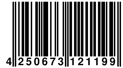 4 250673 121199