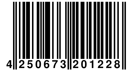 4 250673 201228