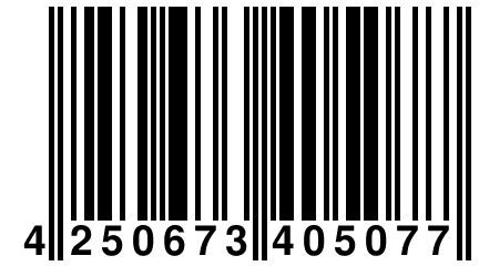4 250673 405077