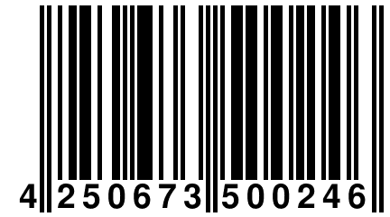 4 250673 500246