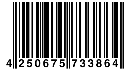 4 250675 733864