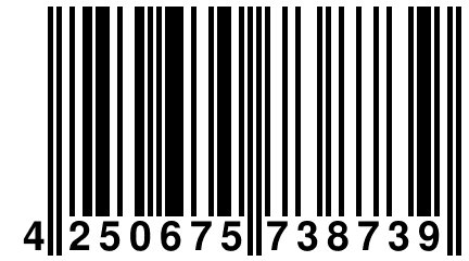 4 250675 738739