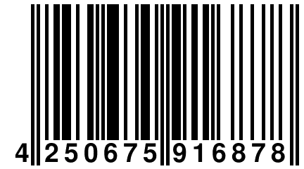 4 250675 916878