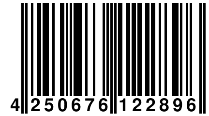 4 250676 122896