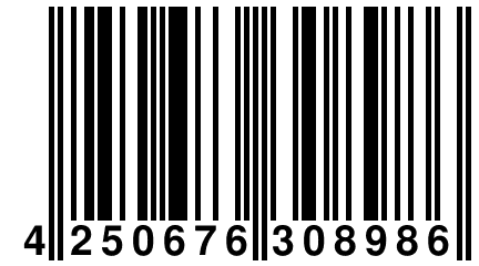 4 250676 308986