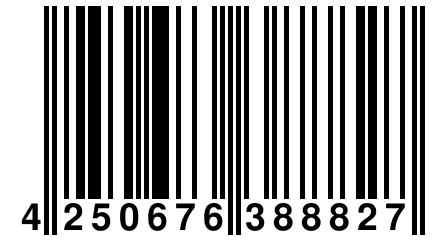 4 250676 388827