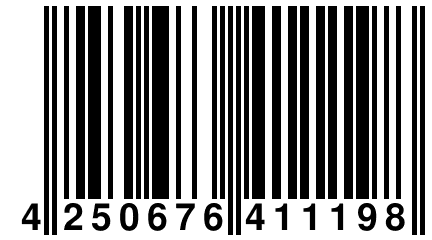 4 250676 411198