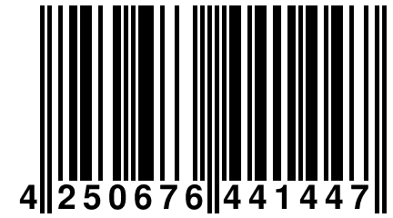 4 250676 441447