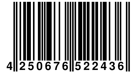 4 250676 522436