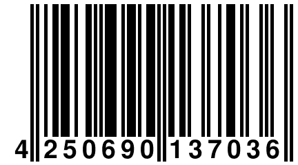 4 250690 137036