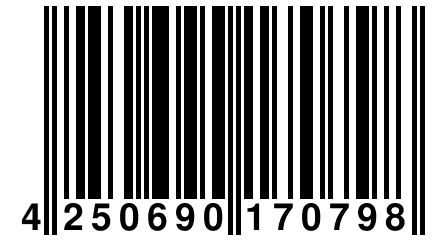 4 250690 170798