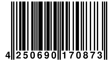 4 250690 170873