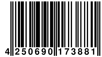 4 250690 173881