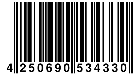 4 250690 534330