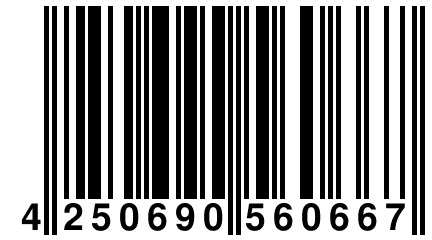 4 250690 560667