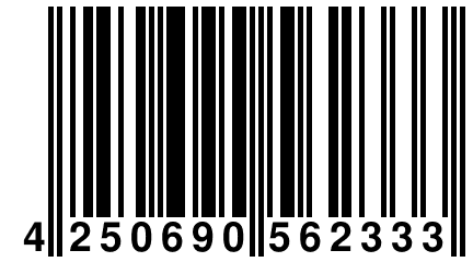 4 250690 562333