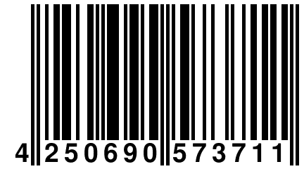 4 250690 573711