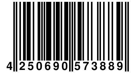 4 250690 573889