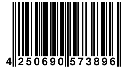 4 250690 573896