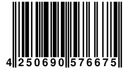 4 250690 576675