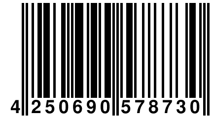 4 250690 578730