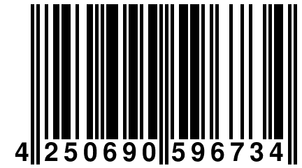 4 250690 596734