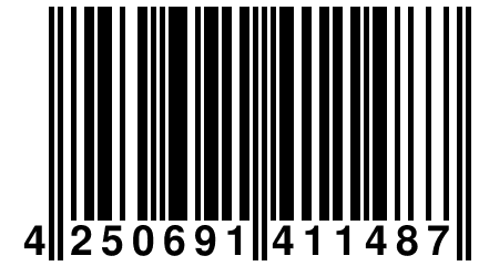 4 250691 411487